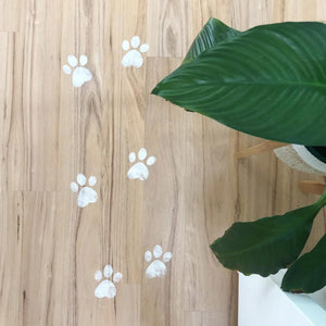 Easter Bunny Stop Here & Paw Set