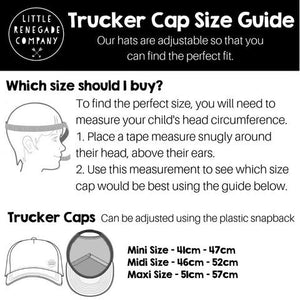 Pod Trucker Cap