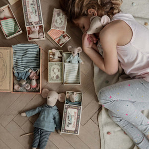 Royal Twins Mice in Box - Little Brother & Sister