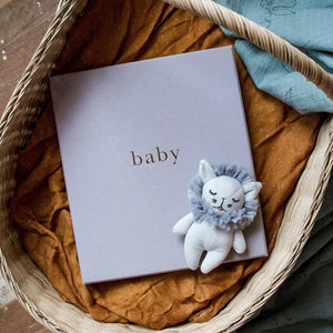 Baby (Your First Five Years )