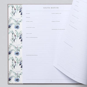 Baby (Your First Five Years )