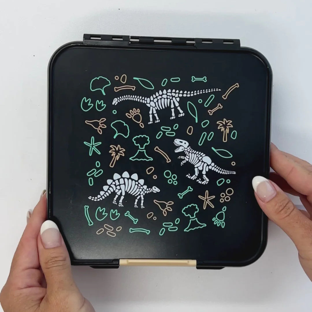 Bento Five Lunch Box (Dinosaur Land)