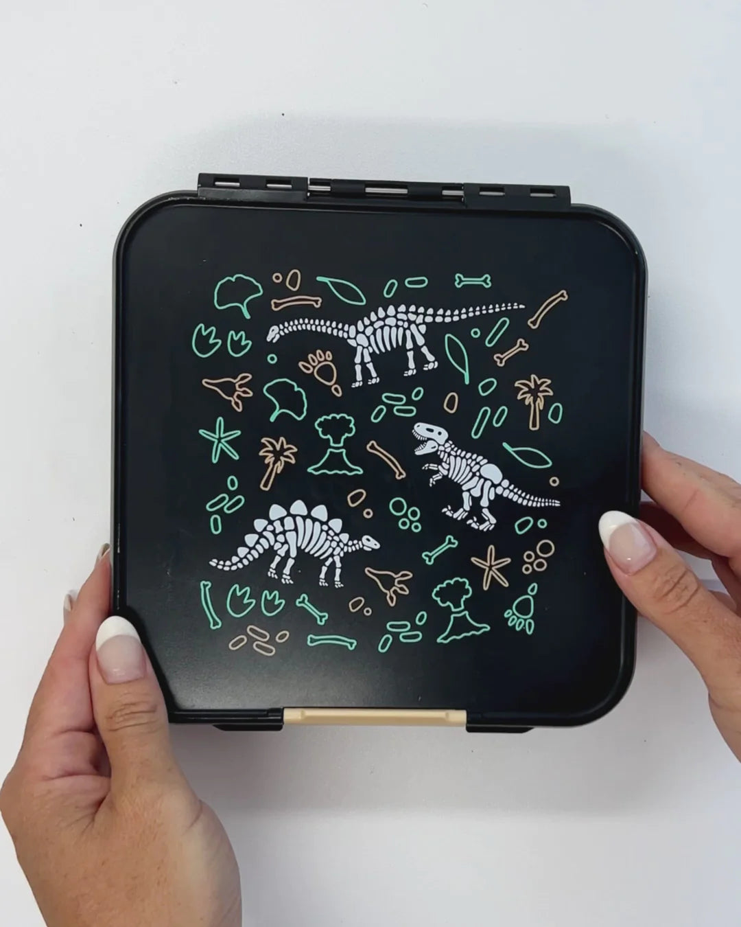 Bento Three Lunch Box (Dinosaur Land)