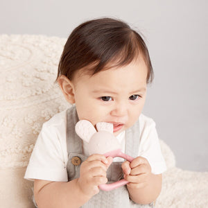 Chill + Fill Teether (Blush)