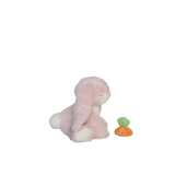 Binky Bunny - Dot