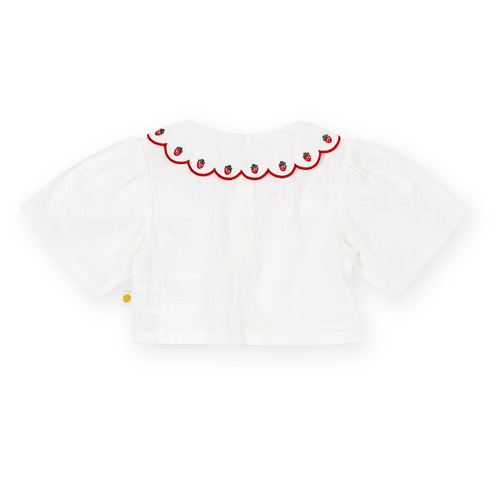 Slide image