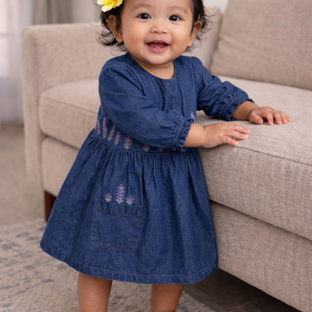 Denim Embroidery Dress