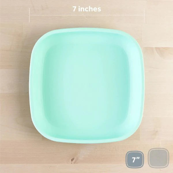 Flat Plate (Mint)