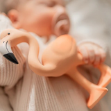 Lingo The Flamingo Teether
