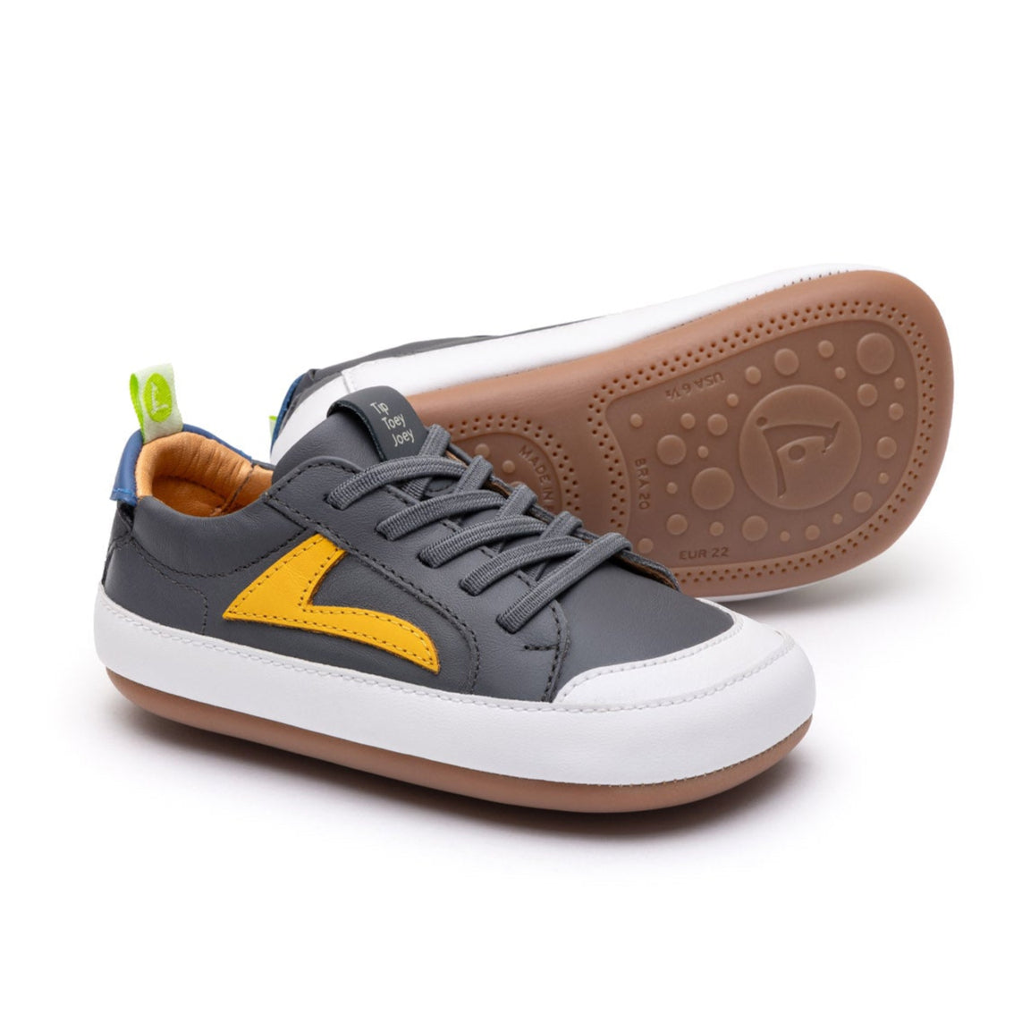 Ground (Slate Blue/Caja/Blue Tang)