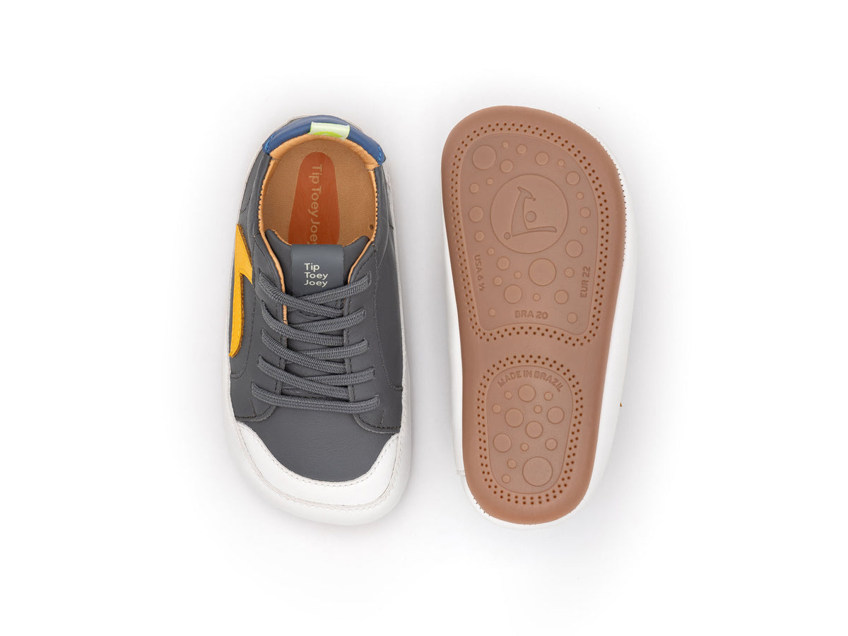 Ground (Slate Blue/Caja/Blue Tang)