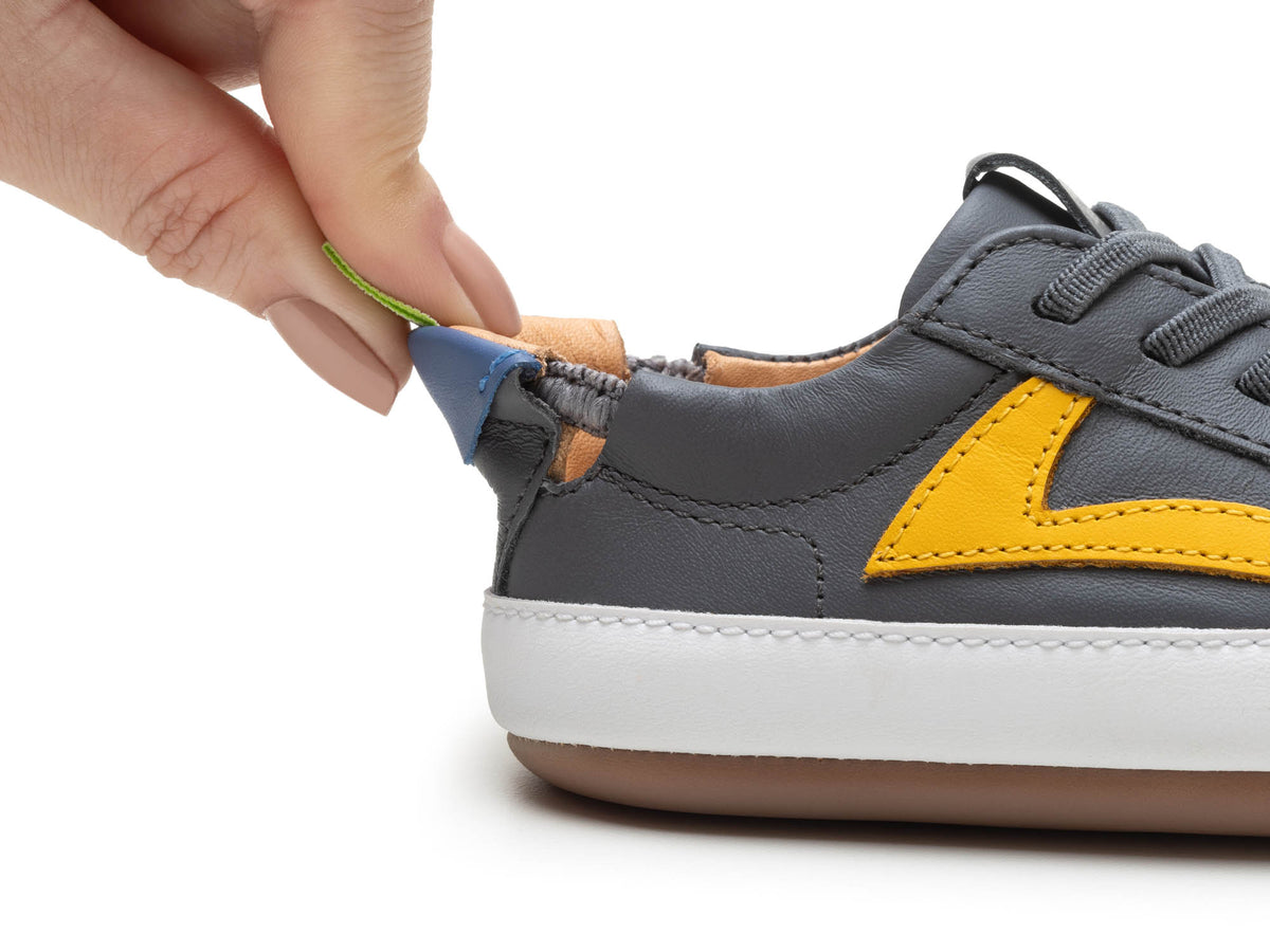 Ground (Slate Blue/Caja/Blue Tang)