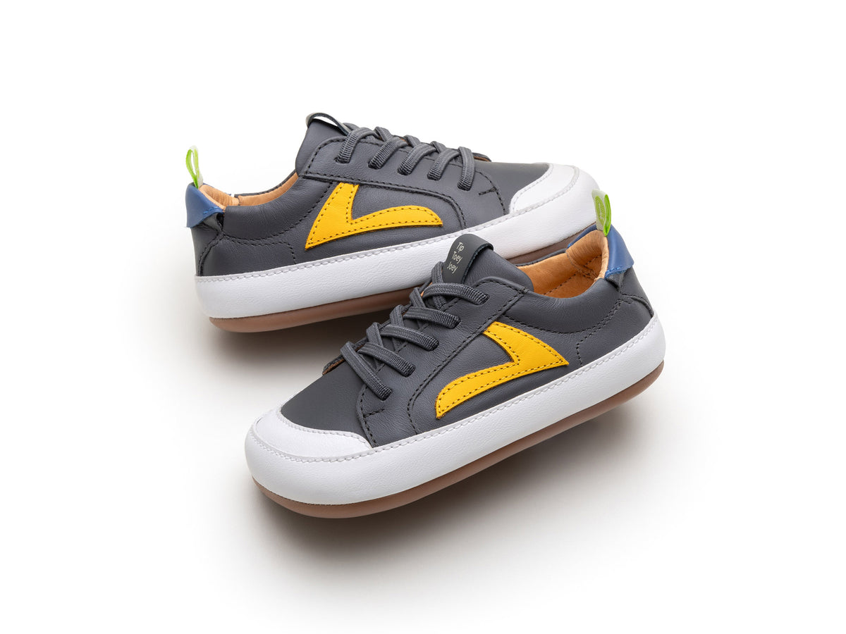 Ground (Slate Blue/Caja/Blue Tang)