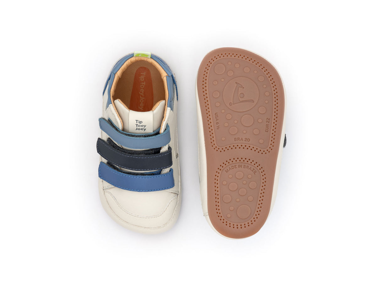 Metropoly (Tapioca/Blue Tang/Navy)