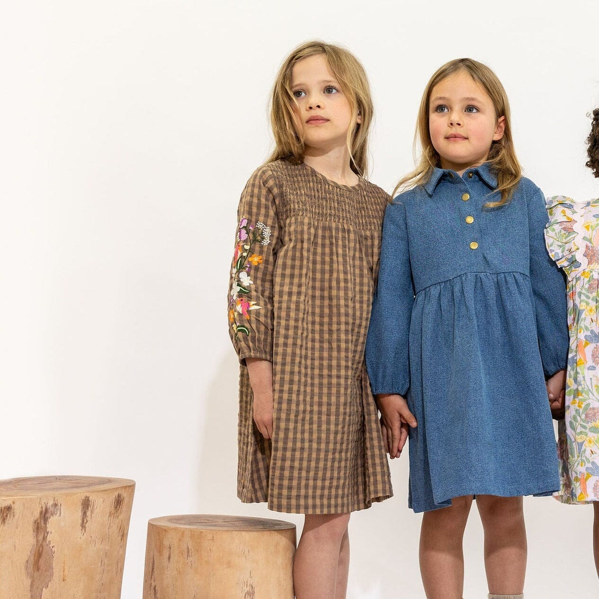 AMELIA DRESS - COFFEE/BLACK