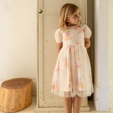 Aria Dress - Roses