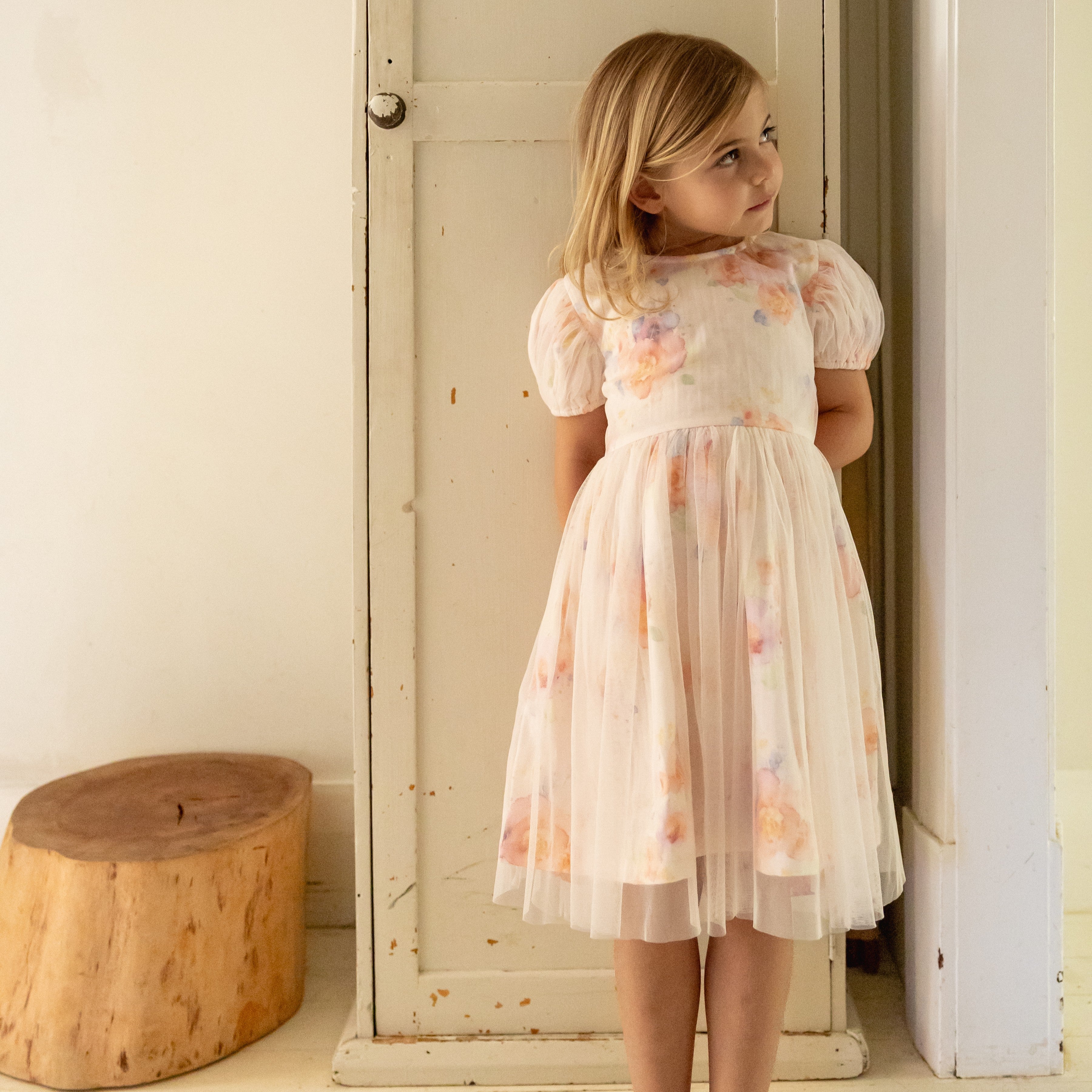 Aria Dress - Roses
