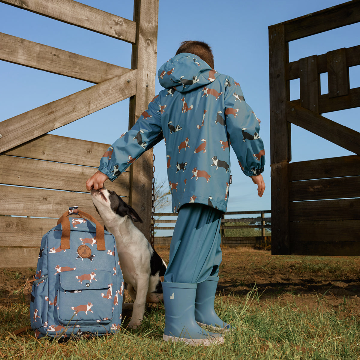 Play Jacket (Collies)