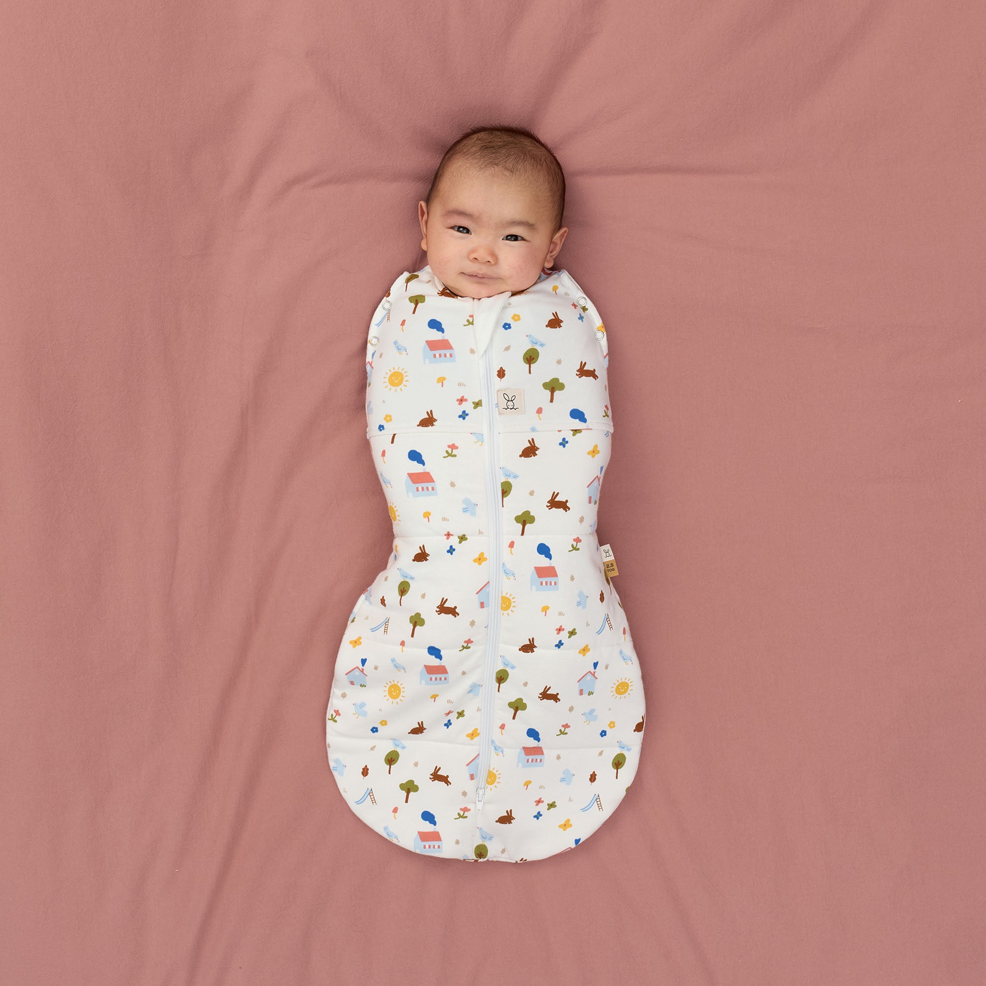 Cocoon Swaddle Bag 2.5 Tog (Daydream)