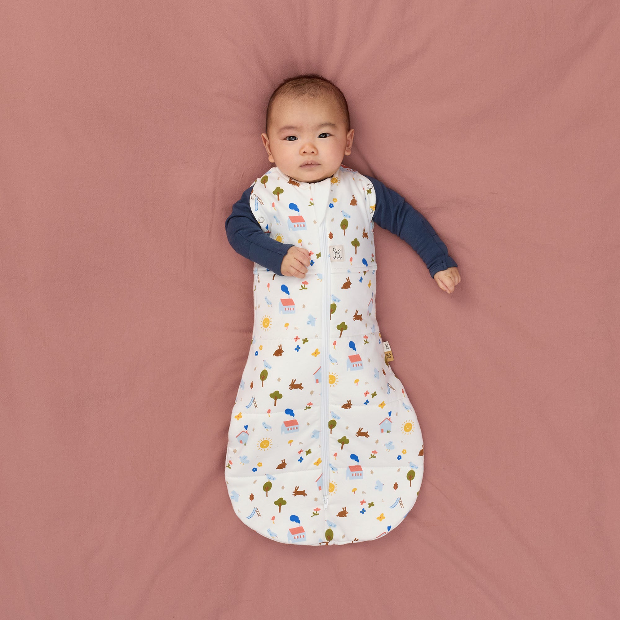 Cocoon Swaddle Bag 2.5 Tog (Daydream)