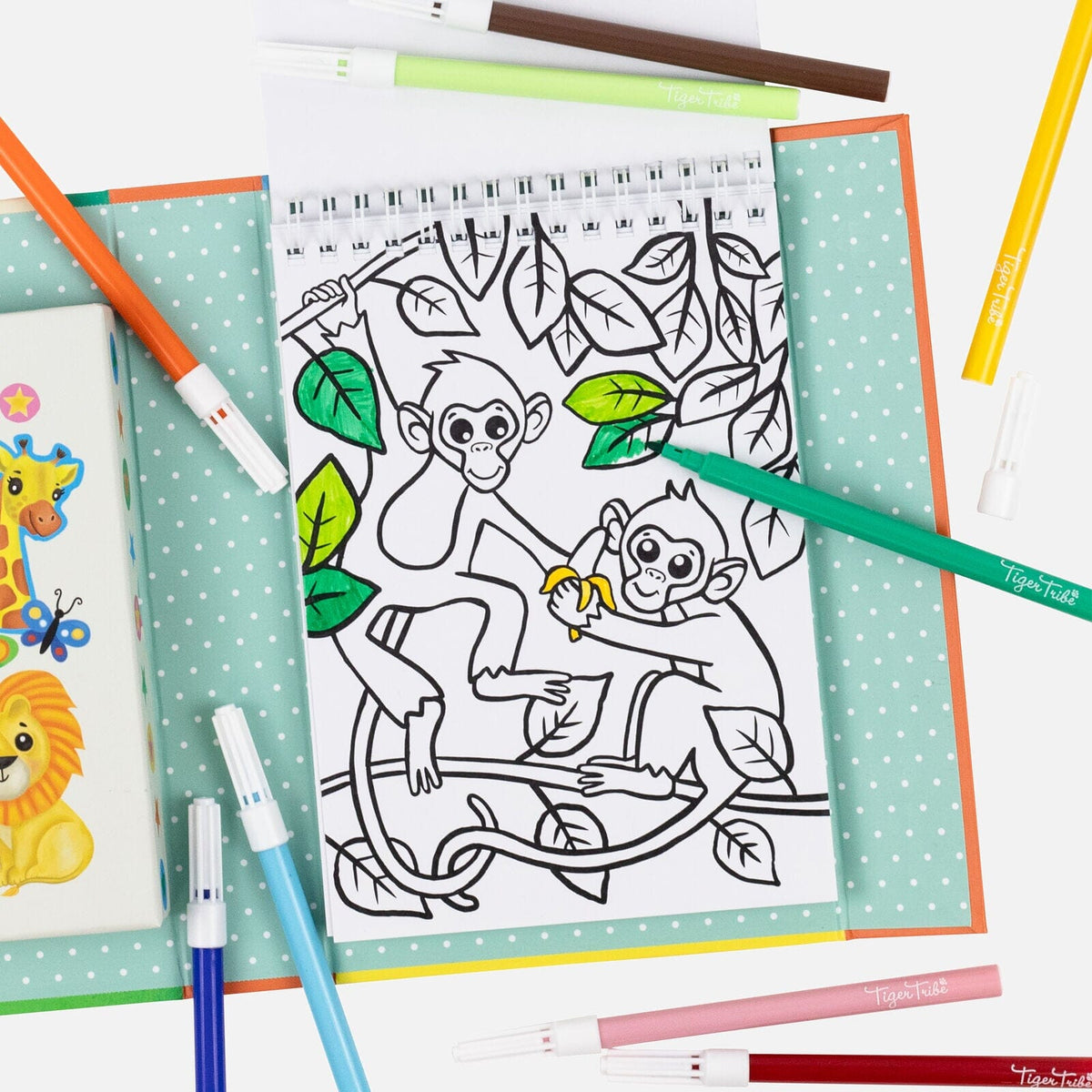 Colouring Set (Zoo)