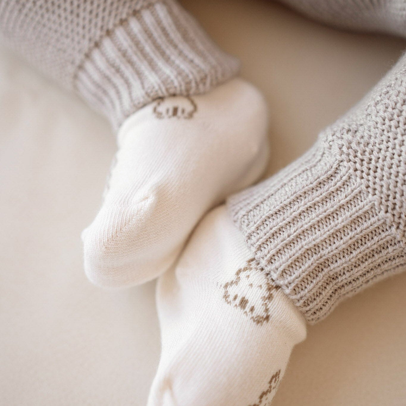 Bunny Buddies Socks
