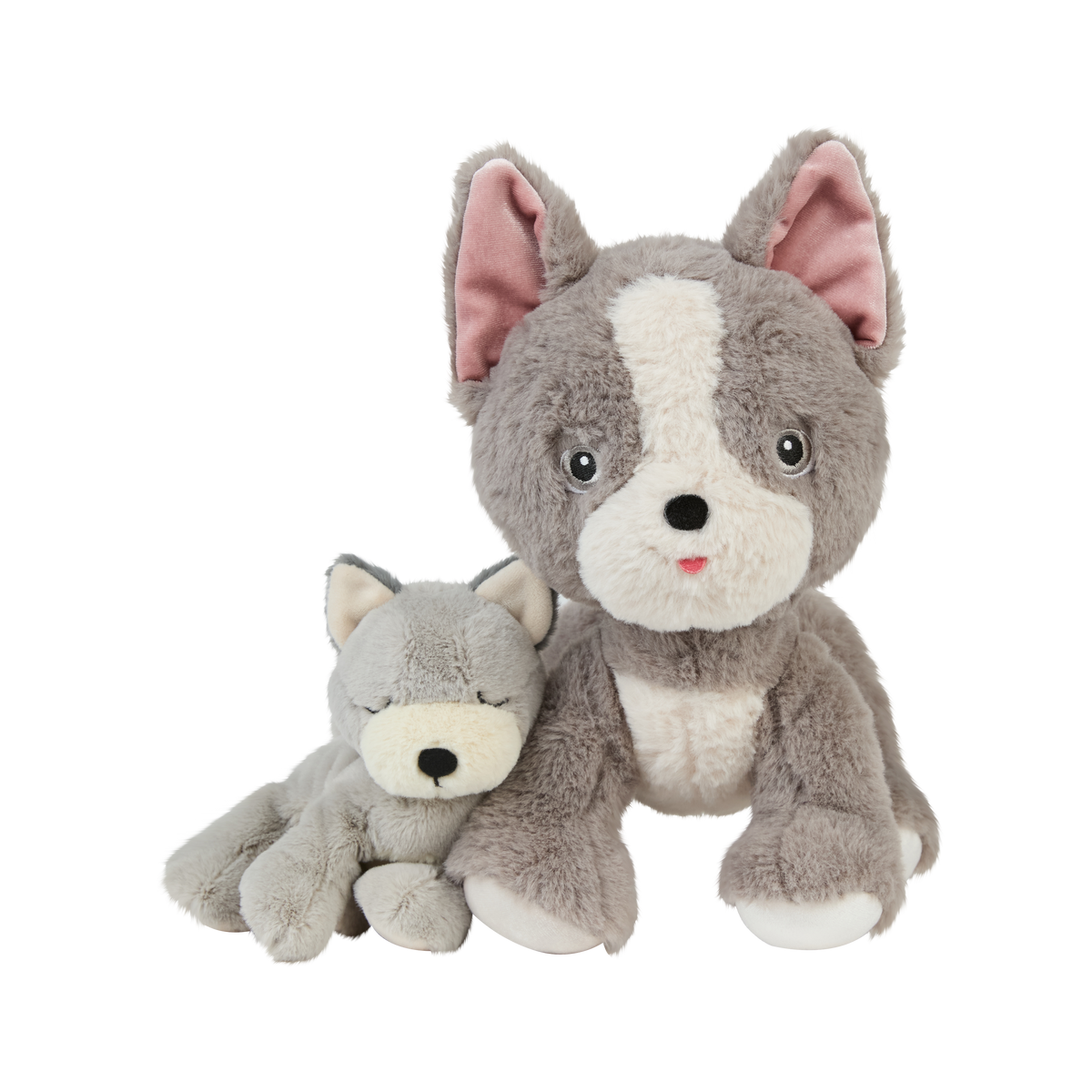 Dinkum Puppy (Banjo)