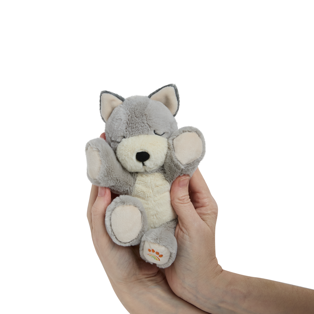 Dinkum Puppy (Banjo)