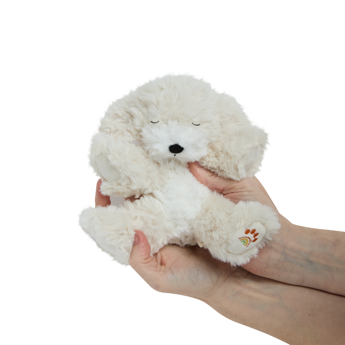 Dinkum Puppy (Belle)