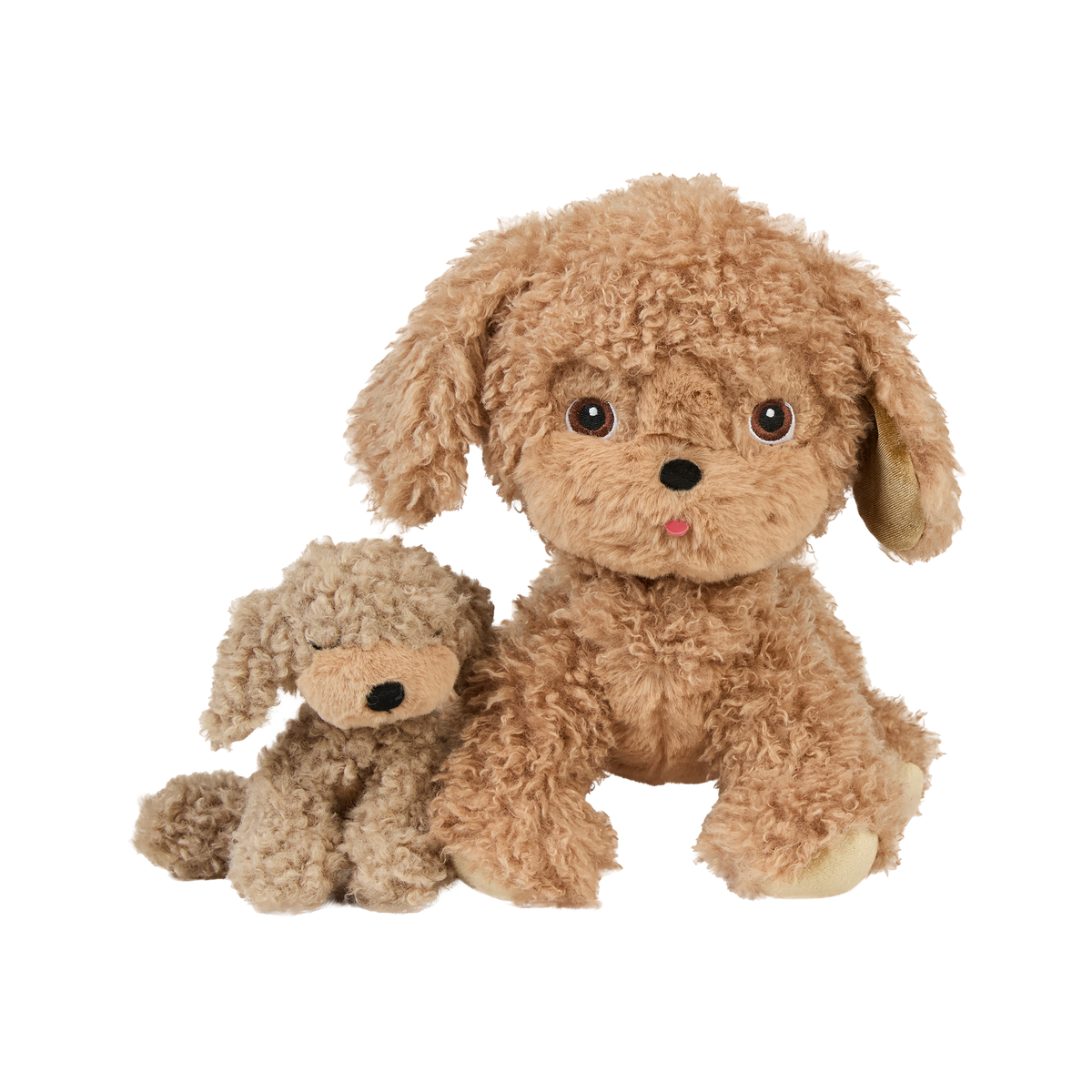 Dinkum Puppy (Benny)