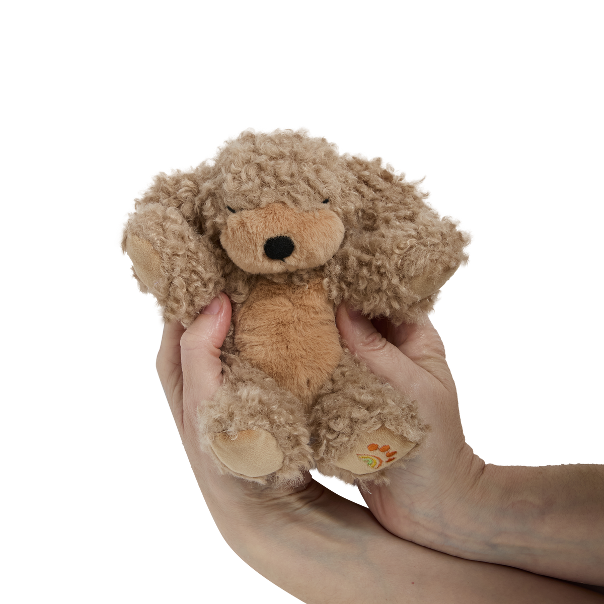 Dinkum Puppy (Benny)