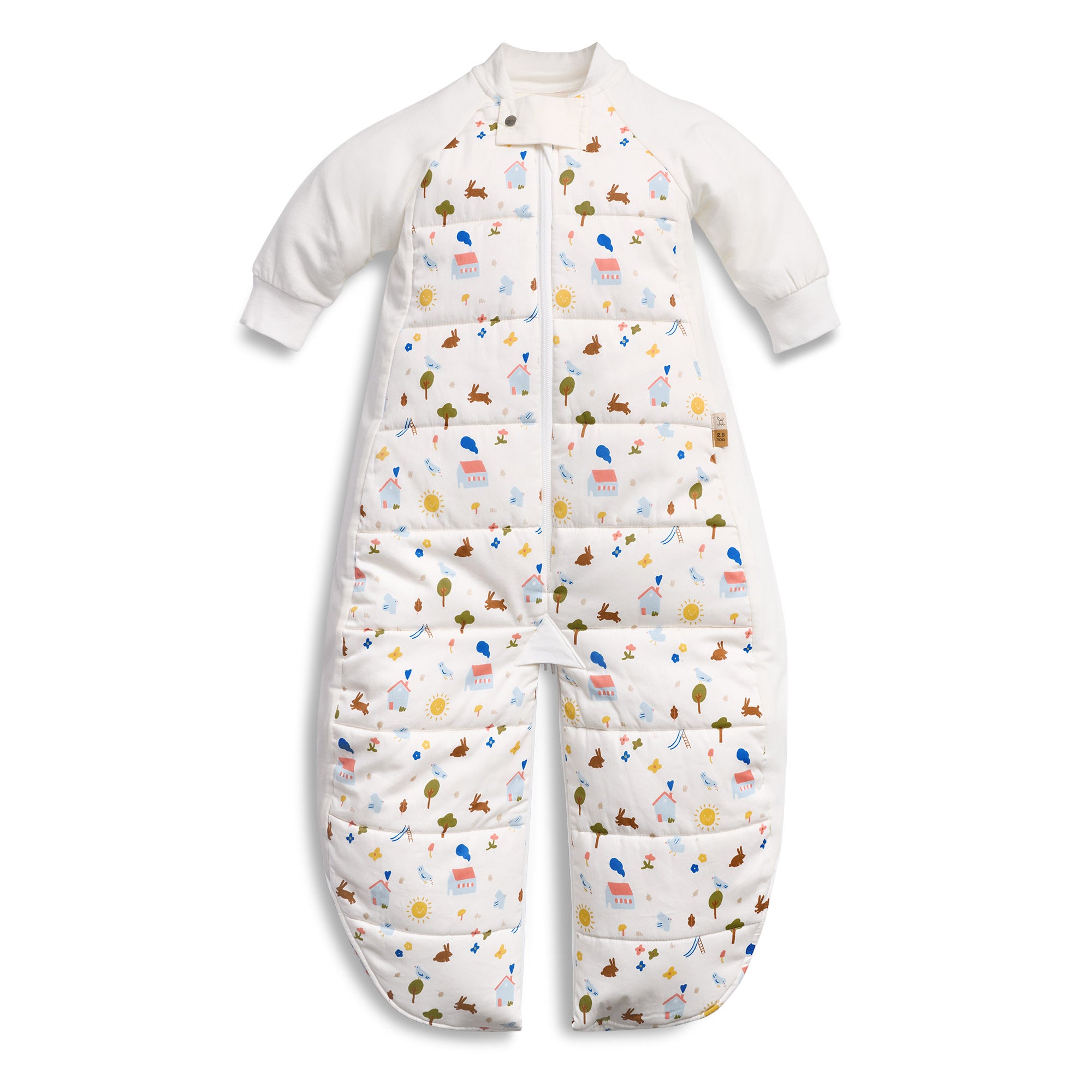 Sleep Suit Bag 2.5 Tog (Daydream)