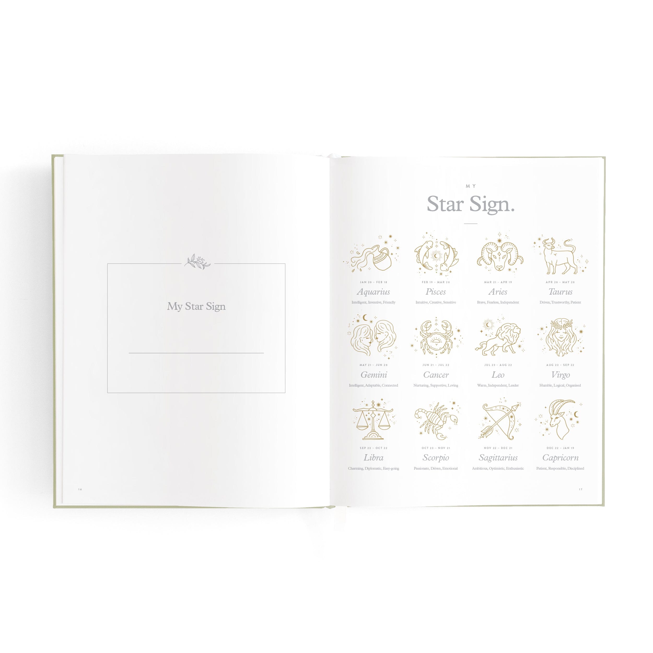 Sage Mini Baby Book