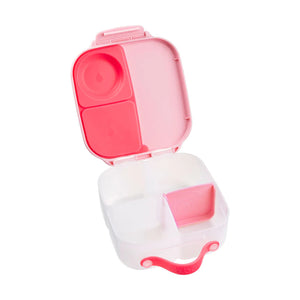 Mini Bento Lunchbox (Flamingo Fizz)