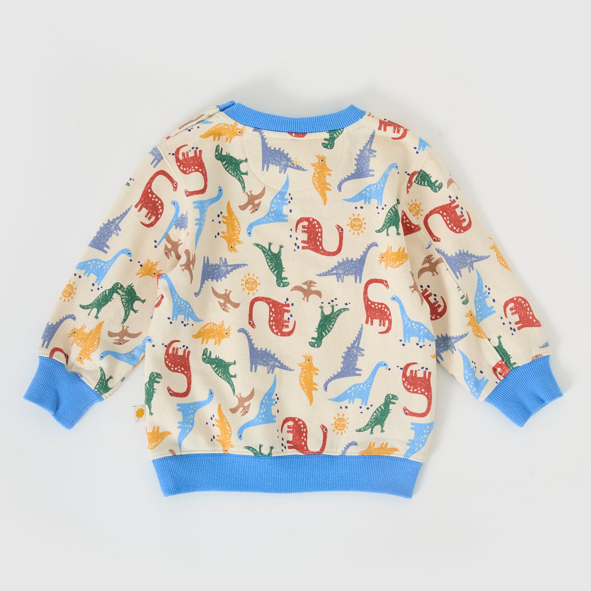 Dino-Mite Relaxed Terry Sweater