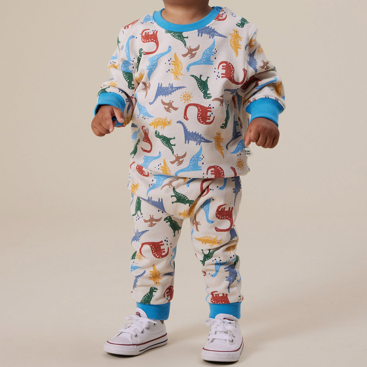 Dino-Mite Terry Sweartpants