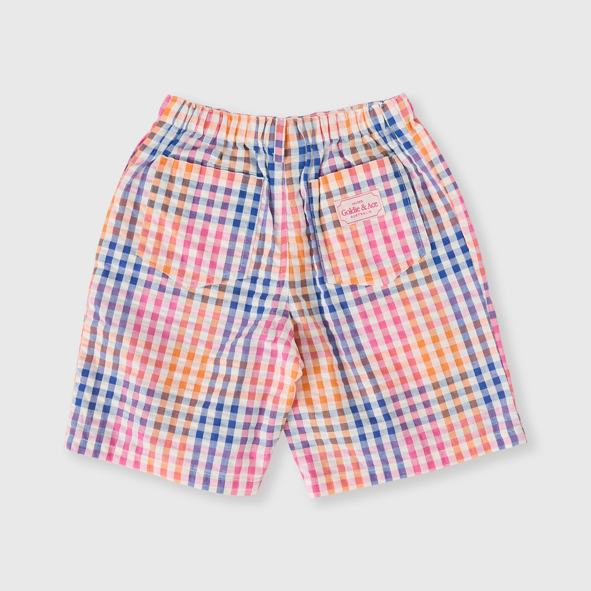 Rainbow Gingham Kirby Relaxed Shorts