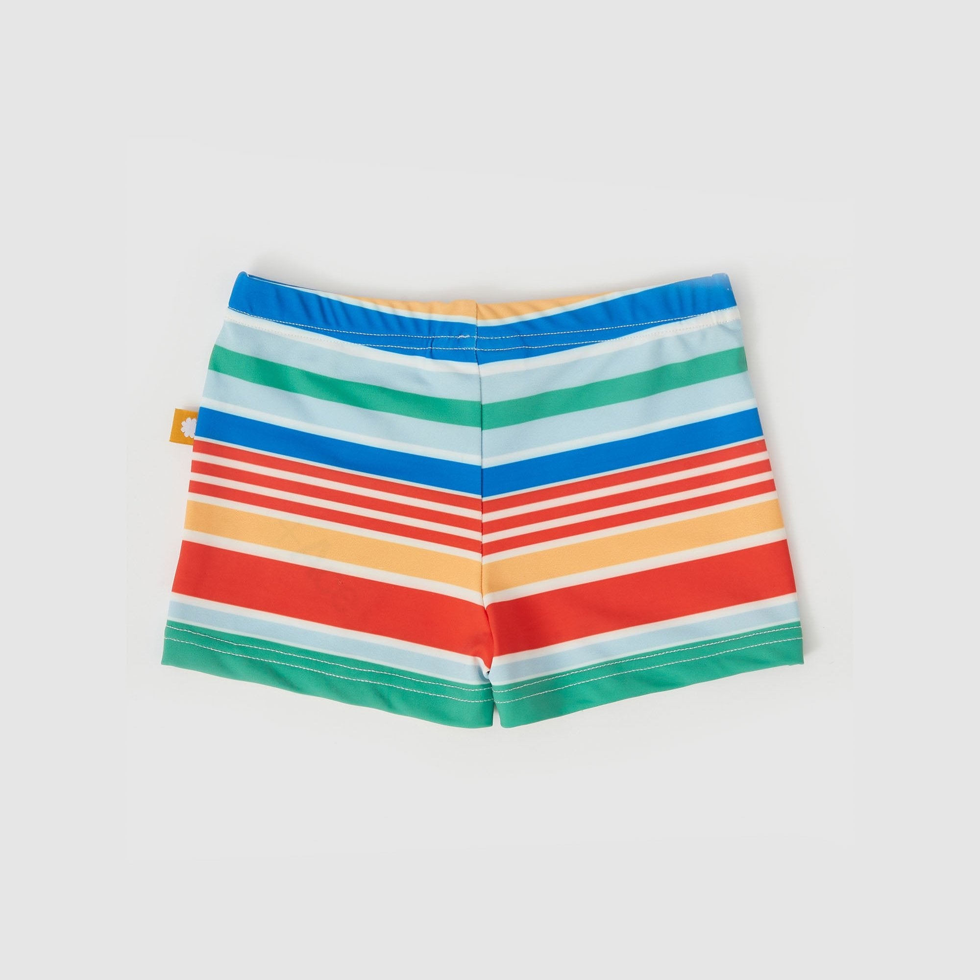 Bold Stripe Swim Shorties