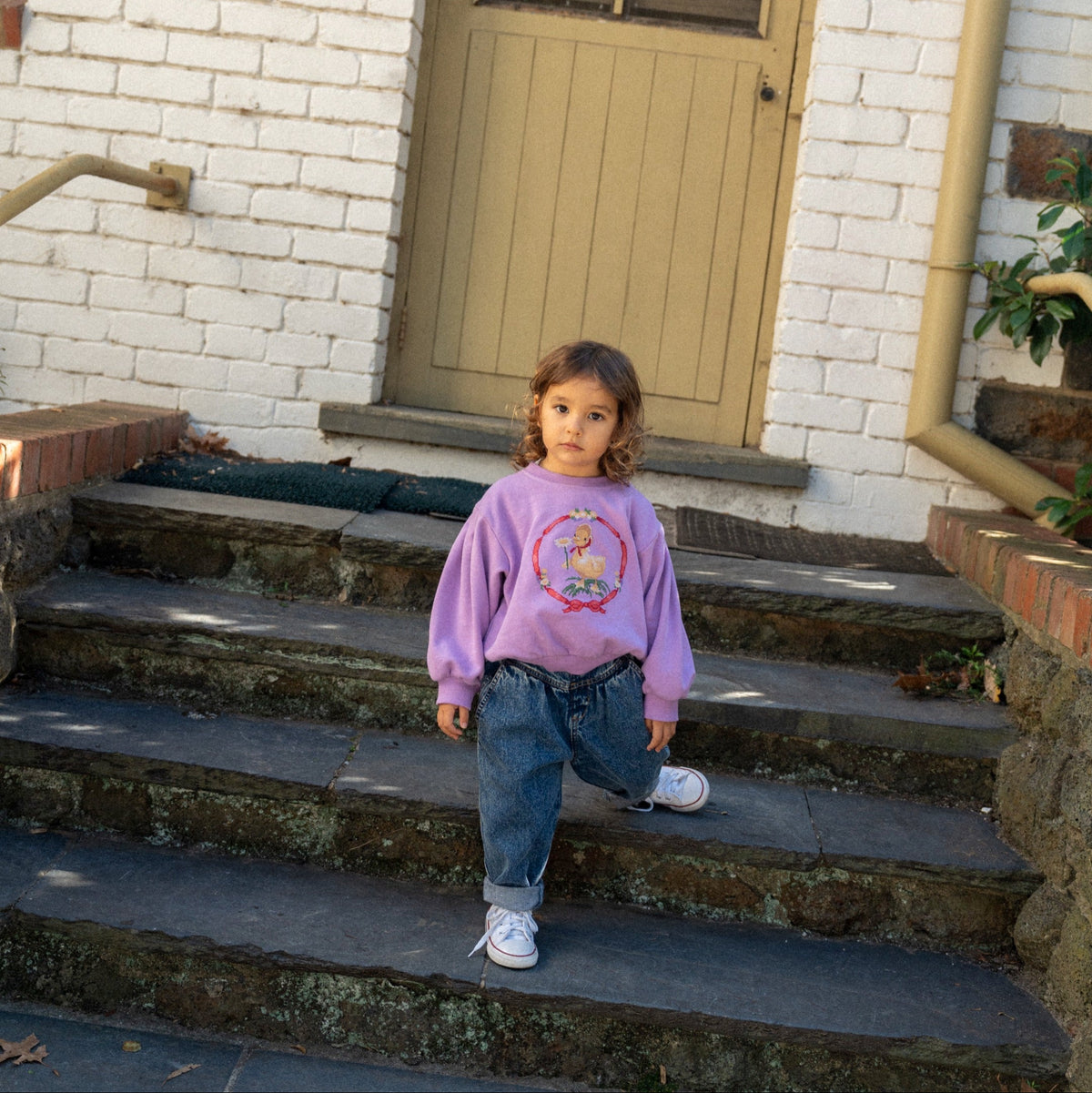 Shirley Barber Sweater