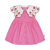 Berry Sweet Seersucker Emroidered Collar Dress