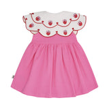 Berry Sweet Seersucker Emroidered Collar Dress