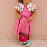 Berry Sweet Seersucker Emroidered Collar Dress