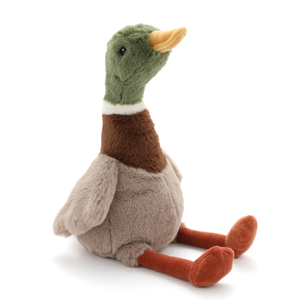 Hugo The Mallard Duck