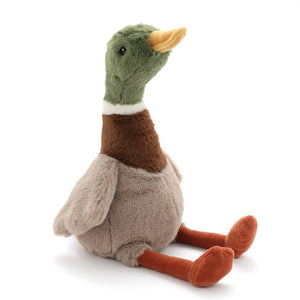 Hugo The Mallard Duck