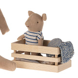 Pig Baby Boy In Box