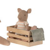 Pig Baby Girl In Box