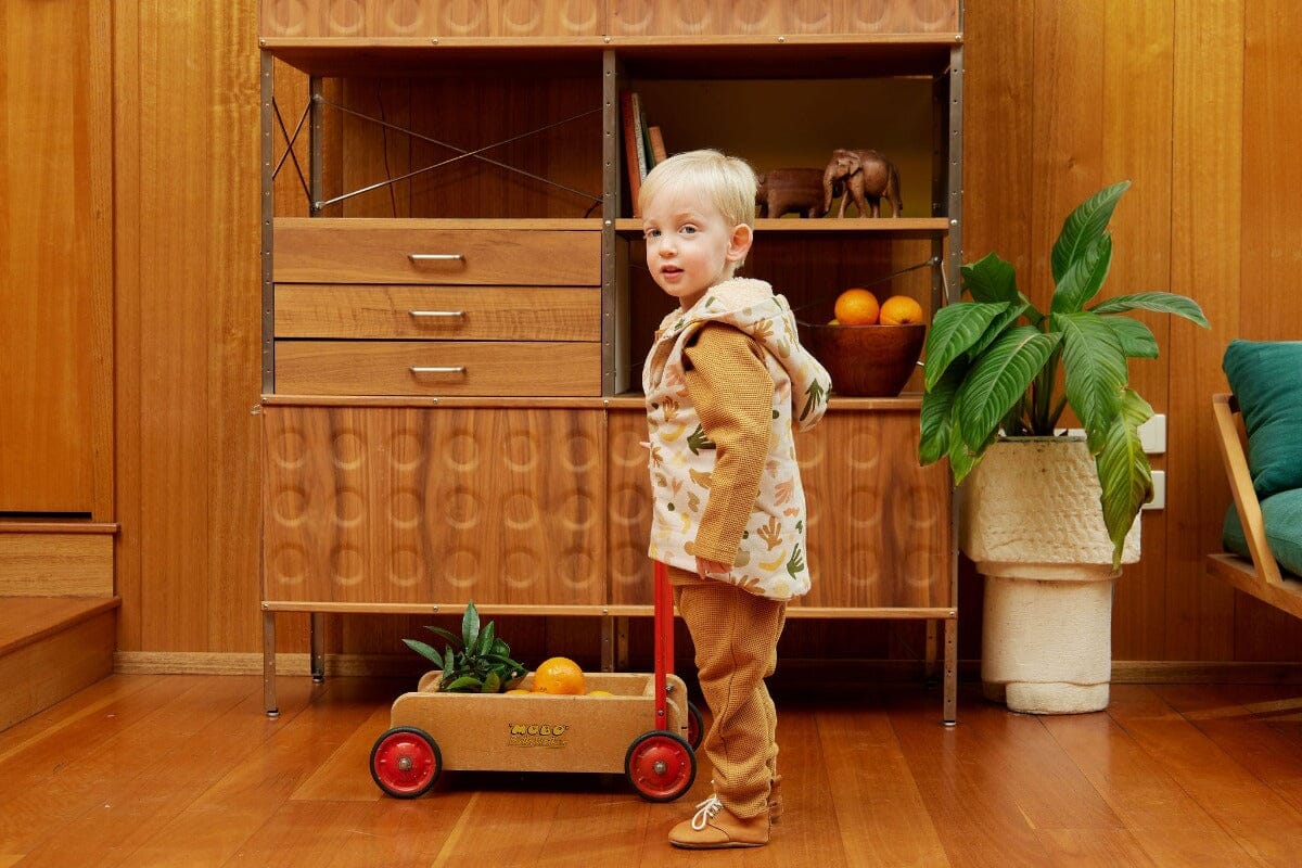 Slide image