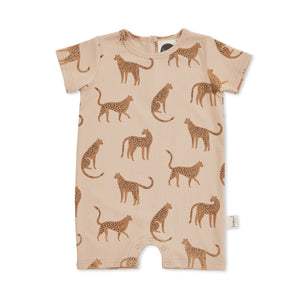 Wild Life Shortall