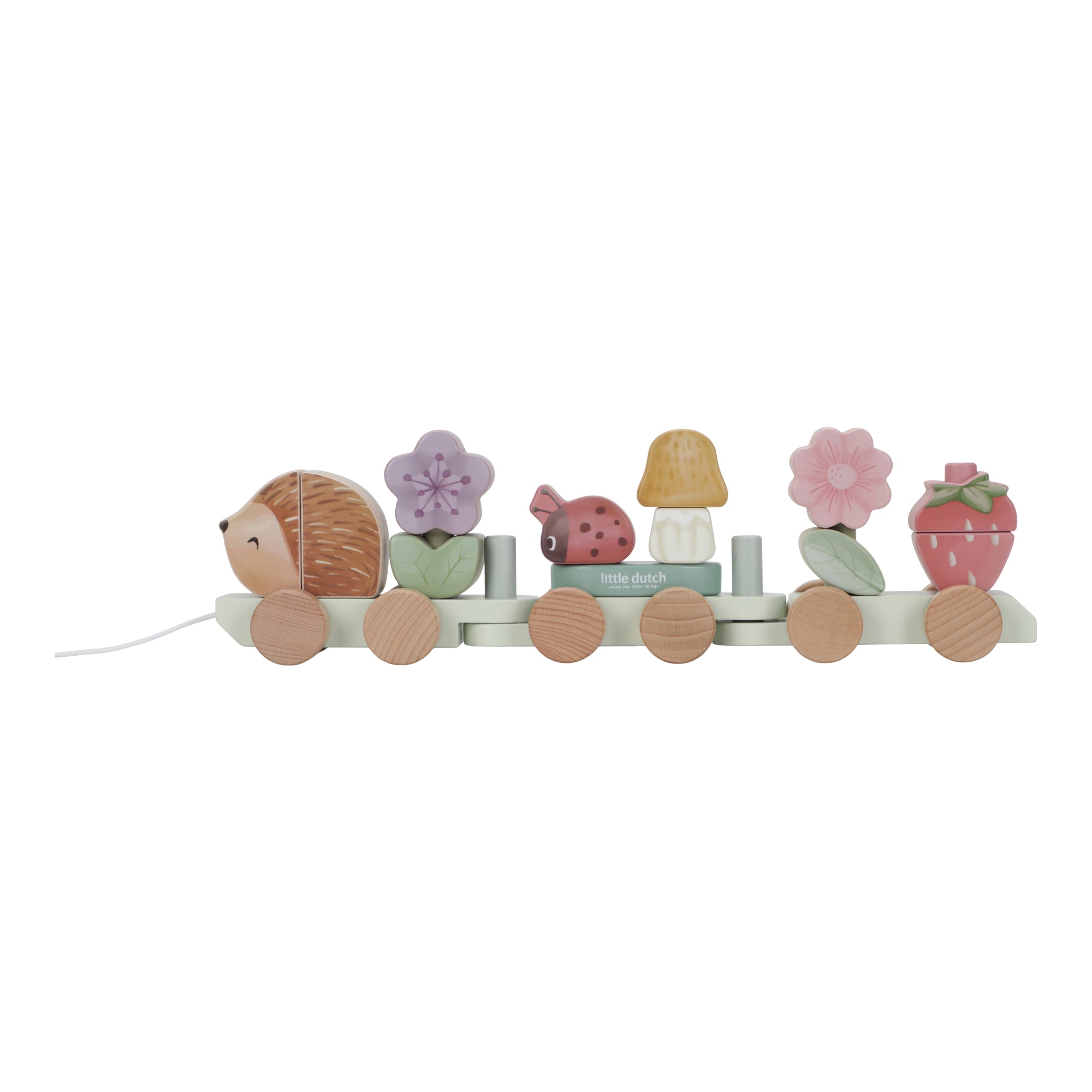 Fairy Garden Hedgehog Stracking Train