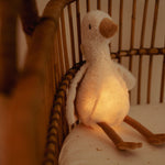 Slide image